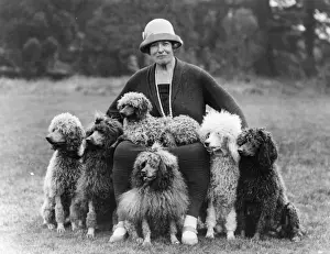 String Prints: FALL / HUTCHINSON / POODLES