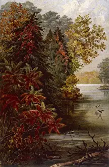 Erie Prints: FALL ON LAKE ERIE