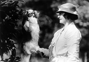 Pekingese Prints: FALL / PEKINGESE / OWNER