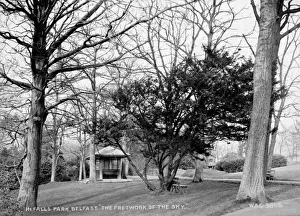 Fretwork Prints: In Falls Park, Belfast. The Fretwork of the Sky