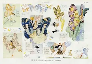 Some Familiar Summer Butterflies by A. K. Macdonald