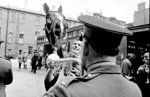 Familiarising horses with the sound of music