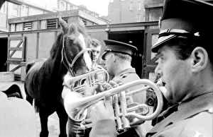 Familiarising horses with the sound of music Familiarising horses with the sound of music