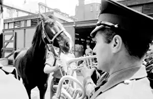 Familiarising horses with the sound of music