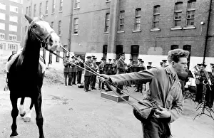 Familiarising horses with the sound of music