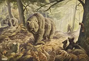 Canopy Prints: A Family of bears in the wood