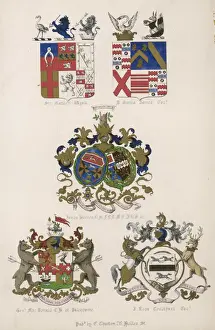 Family Coats of Arms 16