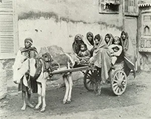 Conveyance Prints: Family Conveyance in Cairo, Egypt