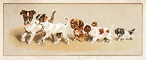 Children and Puppies