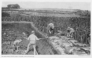 Gathering Peat