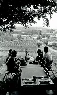 Family picnic in vineyard, France