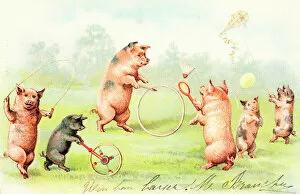 Anthropomorphism Collection: Family of pigs at play on a postcard