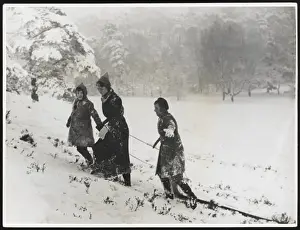 Toboggans Prints: Family Sledging C1940