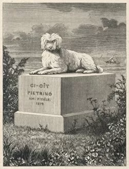 Archduchess Gallery: Famous Dog Pietrino