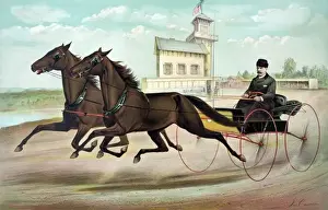 Trotter Prints: The famous double trotting team, Sir Mohawk and Nellie Sonta