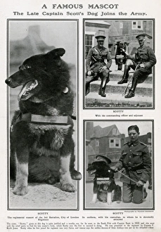 A famous mascot - Captain Scott dog joins the Army