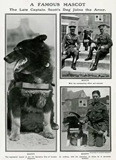 Regimental Gallery: A famous mascot - Captain Scott dog joins the Army