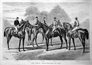 Five famous three-year-old racehorses of 1876