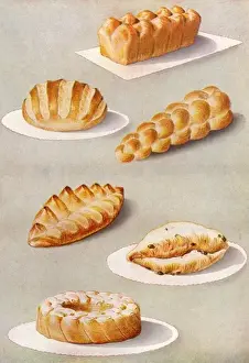 Fermented Prints: Fancy Breads