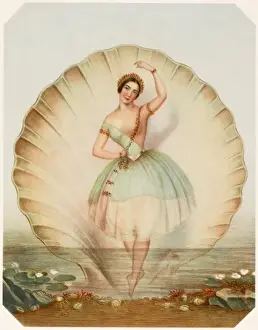 Lilies Prints: Fanny Cerrito / Ondine