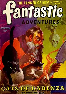 Wilcox Prints: Fantastic Adventures - Cats of Kadenza