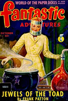 Fantastic Prints: Fantastic Adventures - Jewels of the toad