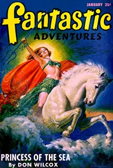 Wilcox Prints: Fantastic Adventures - Princess of the Sea