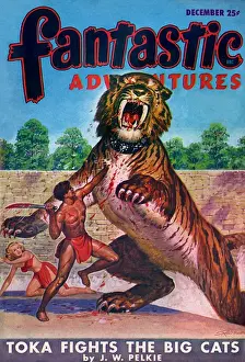 Tigers Prints: Fantastic Adventures - Toka fights the big cats