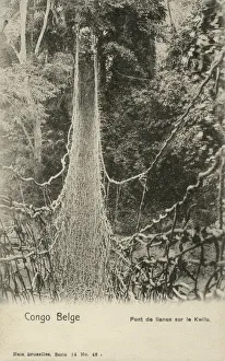 Images Dated 2nd September 2019: Fantastic Rope Bridge - Belgian Congo, Central Africa