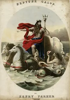 Conch Prints: Fantasy Animals - Neptune