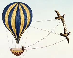 Fantasy Balloon Project