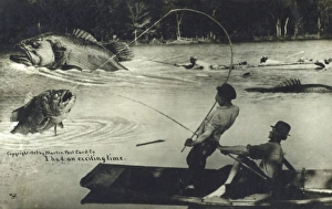 Images Dated 1st August 2011: Fantasy Fishing