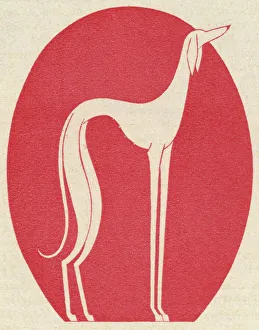 Breeds Collection: Fantasy Greyhound 1928