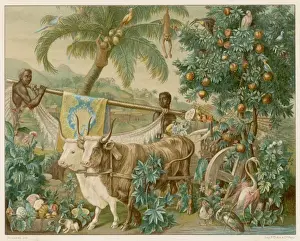 Fantasy - the Indies