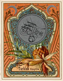 Pine Apple Prints: Fantasy Postcard on Turkish Empire