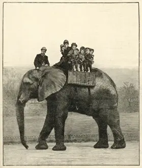 Farewell ride on Jumbo