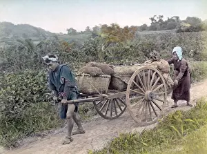 Farm cart, Japan, circa 1880s