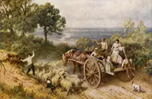 Farm Cart and Sheep