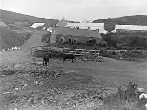 Brides Prints: Farm at Nolton Haven, Pembrokeshire, South Wales