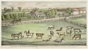 Cunningham Collection: Farm in Quebec