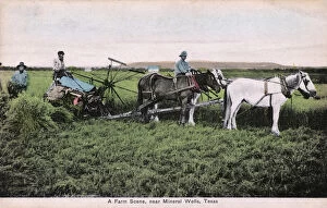 Farm scene near Mineral Wells, Texas, USA
