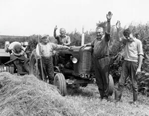 Camera Collection: Farm Workers and Tractor