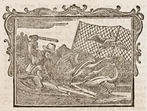 Dodsley Gallery: Farmer, Cranes & Stork