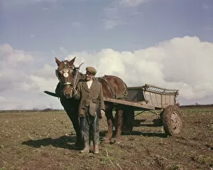 Farmer with horse and cart in a field