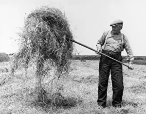 A Farmer with Pitchfork