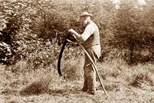 Scythe Collection: Farmer using scythe