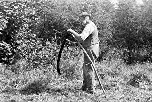 Scythe Collection: Farmer using a scythe Victorian period