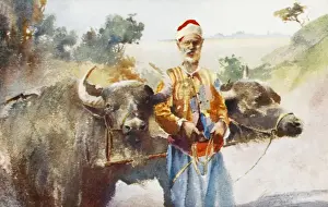 Farmer with Water Buffalo - Turkey