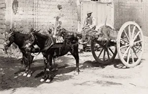 Farmers cart being pulled by a pair of horses, southern Italy Farmers cart being pulled by a pair of horses, southern Italy