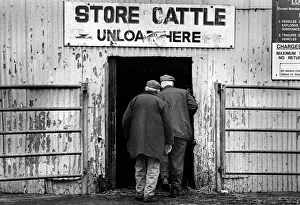 Images Dated 4th September 2019: Two farmers enter store cattle shed - Bakewell Cattle Market